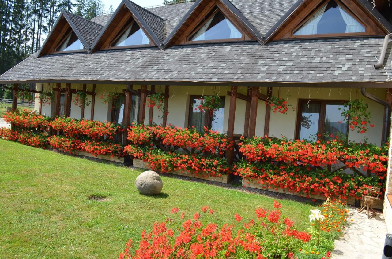 Pensiunea Inima Bucovinei Frasin Exterior photo